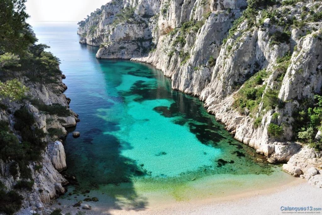 La Savinienne De Cassis- 5mn Port Face Villa